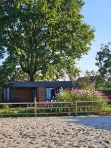 Houten huisje tussen paarden - Wijer