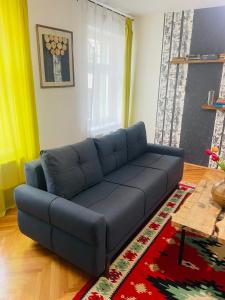 Spacious Stylish Apartment in Old Town