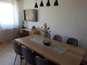 Apartmán Vendelínka