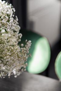 Вишукані апартаменти у історичному маєтку в парку