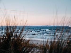 Dünenpark Binz - Komfort Ferienwohnung mit 2 Schlafzimmern und Terrasse im Erdgeschoss 004