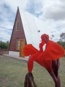 Amancay Cabaña alpina en Valle Fértil - Paganzo