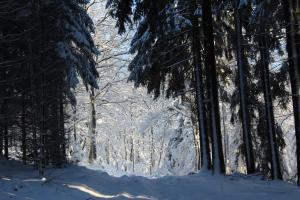 Ferienwohnungen Zum Hasenbahnhof