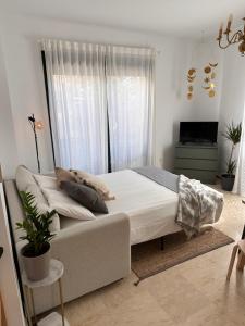 Trinidad Centro Malaga