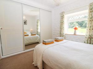 Coed y Glyn Bach Equestrian