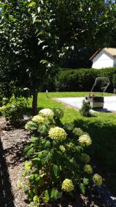 Appartements Le Gite du Fort : photos des chambres