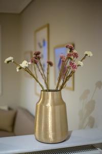 House Apartment Anna Maria