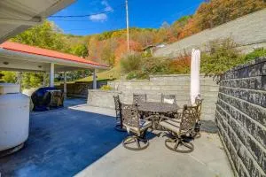 Laptop-Friendly Appalachian Mountain Retreat! - Sidney