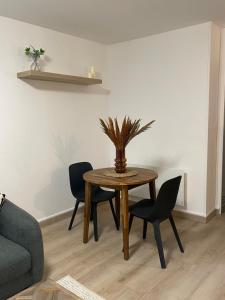 Appartements MC Suite CMZ* : Appartement 1 Chambre