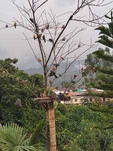 Apartamento portal del prado