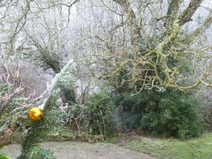 Maison Indépendante 5 Chambres avec Jardin - Animaux Bienvenus - FR-1-581-75