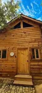 Colibri - Cabañas Puerto del Zopilote - Conca