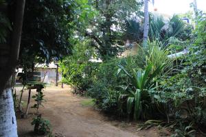 Cabañas La Escondida Mazunte