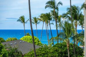 Kihei Akahi D209
