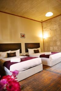 Hoteles Riviera Colonial