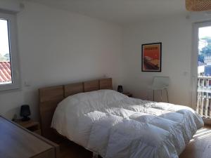 Appartements Charmant appartement neuf a Capbreton avec balcon, Wifi, et parking securise pour 5 personnes - FR-1-239-1004 : photos des chambres