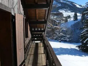 Appartement typique 75m², 2 chambres, balcon, face au télésiège, parking, proche front de neige. - FR-1-595-92 - Excoffonière