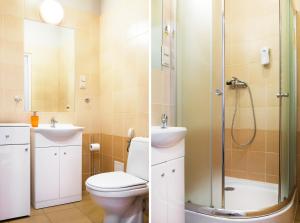 Apartamenty i Studia HERBARIUM