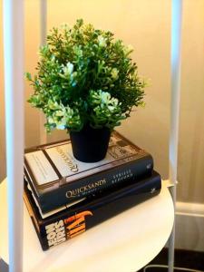 Perfect and modern Studio, Broadway-Chippendale