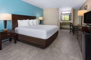 King Room with Mobility Access and Bathtub with Grab Bars, Non-Smoking room in Travelodge by Wyndham Kingsland GA