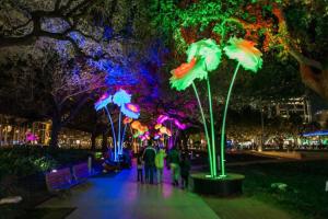 H-Town Vibes: Dwtn UHTSU Astros