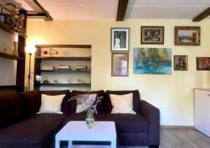 Cosy studio apartment with the garden