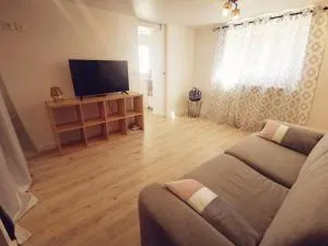 T1 bis, jardin, proche du centre - 瑟伊辛斯