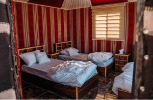 Amazing Wadi Rum Camp