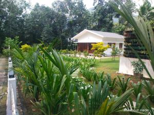 Family Cottage at Merlys Fruit Garden, Thattekkad