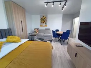 Apartament Zabrze Grzybowska - Czekanów