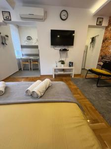 Tesla View Apartment