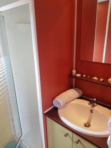 Bateaux Cottage flottant Saint Jean de Losne option jacuzzi : photos des chambres