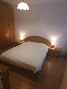 Family apartment - Morovyane