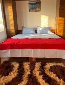 Pet friendly private pool villa near bangalore