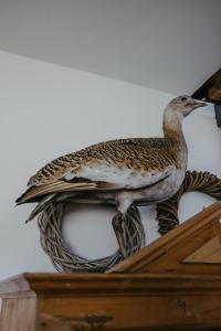 Ferienhaus Wallern im Burgenland