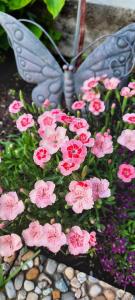 Ferienwohnung "Josephine" am Klopeinersee