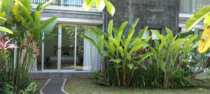 purnama fullmoon resort