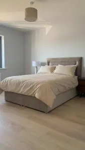 Large bedroom near to the center - 布拉尼