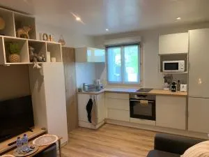 APPARTEMENT TYPE STUDIO SANTENY (20 m2) - 莱西吉内