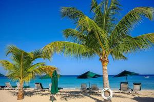 49 Steps - Glitter Bay, St James