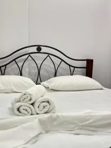 Tirana Apartment - Kashari