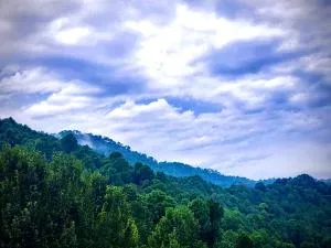 Aura homestay villa - Dagshai