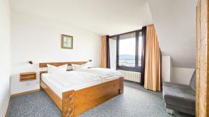 Vintage Hotel Petrisberg