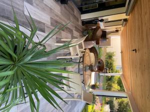 Appartements Le volcan : Appartement 1 Chambre