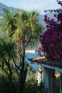 Hotels A-mare Corsica I Seaside Small Resort : photos des chambres