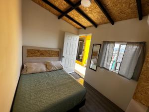 CASA MARIN Jacaranda