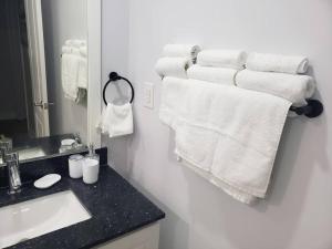 Luxurious 1BR - 1BA Apt Modern Bright with free parking-pc