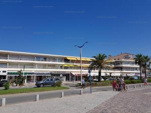 Appartements Appartement climatise face mer, avec piscine et parking, Cavalaire-sur-Mer - FR-1-100-320 : photos des chambres