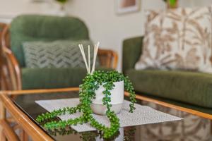 Cairns City Family Apartment - Wifi -Netflix - Pool