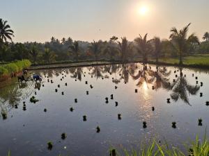Bunga Maliq Bungalow Lombok